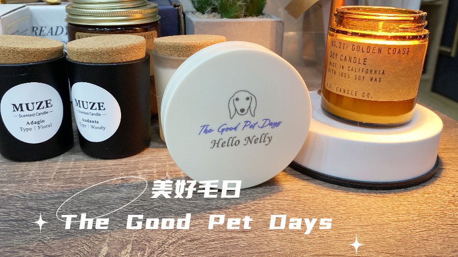 The Good Pet Days 衣物除毛盒